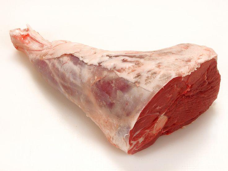 leg