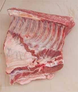 Main Ribs